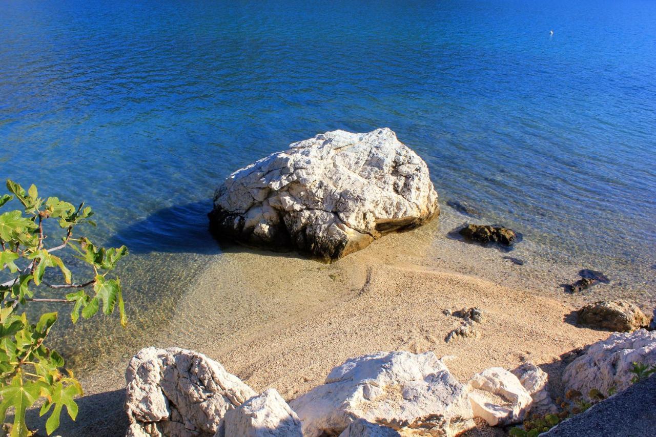 Apartments And Rooms By The Sea Slano, Dubrovnik - 8737 Extérieur photo
